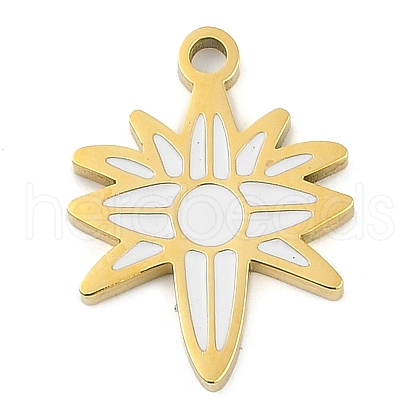 304 Stainless Steel Pendants STAS-F315-06G-01-1