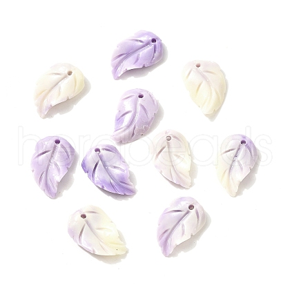 Synthetic Shell Dyed Carved Feather Charms BSHE-H111-02-1