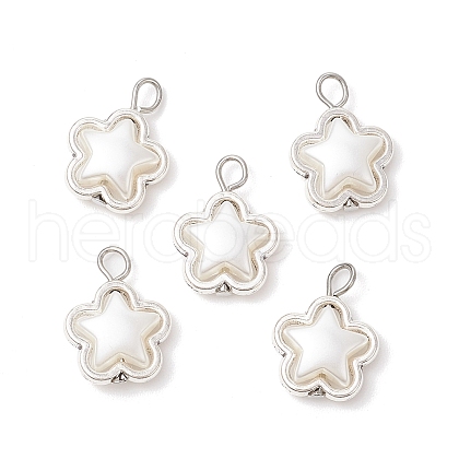 ABS Plastic Imitation Pearl Beads Pendants PALLOY-JF03876-1