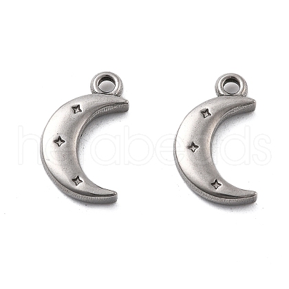 304 Stainless Steel Charms STAS-V002-03P-1