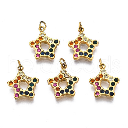 316 Surgical Stainless Steel Charms STAS-N097-009LG-1
