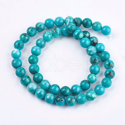 Natural Magnesite Beads Strands TURQ-F010-02-1