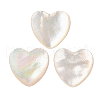 Natural White Shell Cabochons SSHEL-C012-20-1