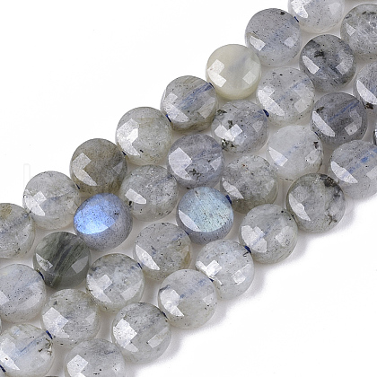 Natural Labradorite Beads Strands G-S362-025-1