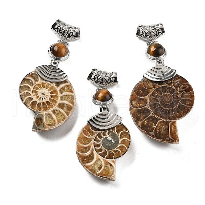 Natural Tiger Eye Fossil Snail Pendants G-F062-13-1