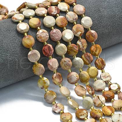 Natural Africa Agate Beads Strands G-C116-A114-01-1