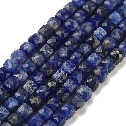 Natural Sodalite Beads Strands G-H042-A08-02-1