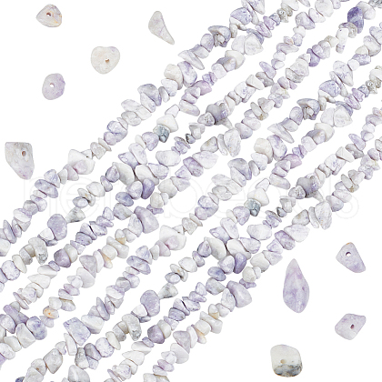 Beebeecraft 2 Strands Natural Purple Turquoise Beads Strands G-BBC0001-45-1