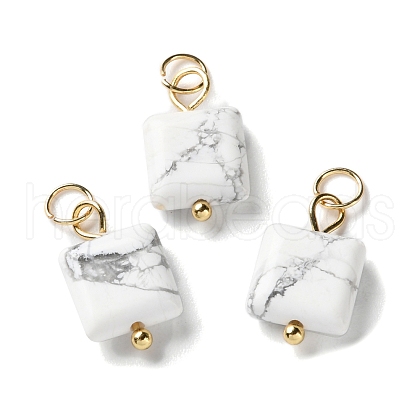 Natural Howlite Pendants STAS-C120-04G-1