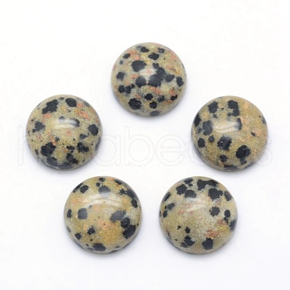 Natural Dalmatian Jasper Cabochons X-G-P393-R33-10MM-1