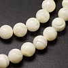 Shell Beads Strands SSHEL-E571-39-8mm-3