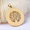 304 Stainless Steel Pendants STAS-O079-04G-2
