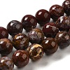 Natural Ocean Jasper Beads Strands G-H298-A13-04-1