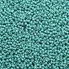 TOHO Round Seed Beads SEED-JPTR11-0413-2