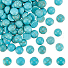 HOBBIESAY 100Pcs Craft Findings Dyed Synthetic Turquoise Gemstone Flat Back Dome Cabochons TURQ-HY0001-04-1