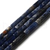 Natural Sodalite Beads Strands G-D464-25-1