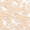 Baking Paint Glass Seed Beads X1-SEED-A033-05A-3