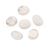 Natural Howlite Cabochons G-C146-02I-1