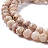 Natural Maifanite/Maifan Stone Beads Strands G-P451-01C-B-4