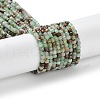 Natural Chrysoprase Beads Strands X-G-P514-B03-01-1