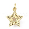 Brass Cubic Zirconia Charms ZIRC-C022-07G-2