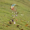 Moon Natural GemstoneChips Pendant Decorations PW-WG87562-01-2