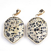 Natural Dalmatian Jasper Pendants G-S344-12B-2