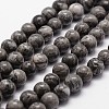 Natural Map Stone/Picasso Stone/Picasso Jasper Round Beads Strands G-E329-8mm-47-3