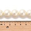Shell Pearl Beads Strands BSHE-XCP0001-32-4