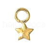 304 Stainless Steel Charms STAS-H233-14G-1