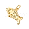 Rack Plating Brass Pendants KK-S372-07G-2
