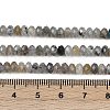 Natural Labradorite Beads Strands G-RM2025-C41-3x5mm-A-5