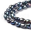 Natural Cultured Freshwater Pearl Beads Strands PEAR-L033-31F-2