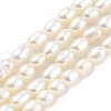 Natural Cultured Freshwater Pearl Beads Strands PEAR-P062-01H-2