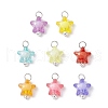 Transparent Acrylic Pendants PALLOY-JF03839-01-1