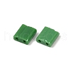  520Pcs 2 Style 2-Hole Glass Seed Beads SEED-NB0001-72B-3