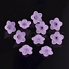 Transparent Acrylic Beads PL560-4-2