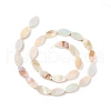 Natural Freshwater Shell Beads Strands X-SHEL-T009-22-3