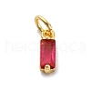 Brass Pave Cubic Zirconia Charms KK-F894-13G-2