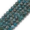 Natural Apatite Beads Strands G-K185-02-4MM-1