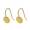 304 Stainless Steel Earring Hooks STAS-B087-09B-G-1