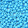 6/0 Glass Seed Beads SEED-S058-A-F298-3