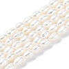 Natural Cultured Freshwater Pearl Beads Strands PEAR-I007-01L-04-2