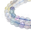 Natural Fluorite Beads Strands G-P457-A03-19-2