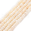Natural Cultured Freshwater Pearl Beads Strands PEAR-I007-02C-01-2