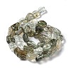 Natural Green Rutilated Quartz Beads Strands G-I351-B09-3