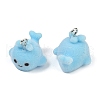 Flocky Resin Pendants FIND-A052-04A-2