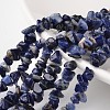 Chip Natural Blue Spot Stone Bead Strands X-G-M344-18-1