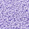 MIYUKI Round Rocailles Beads SEED-G008-RR0534-3