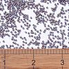 MIYUKI Delica Beads SEED-X0054-DB1067-4